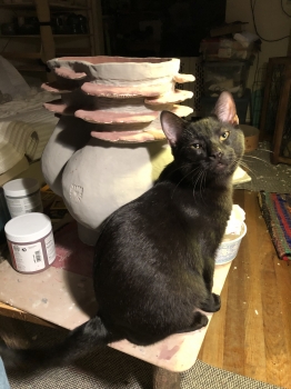 Artist Profile Image